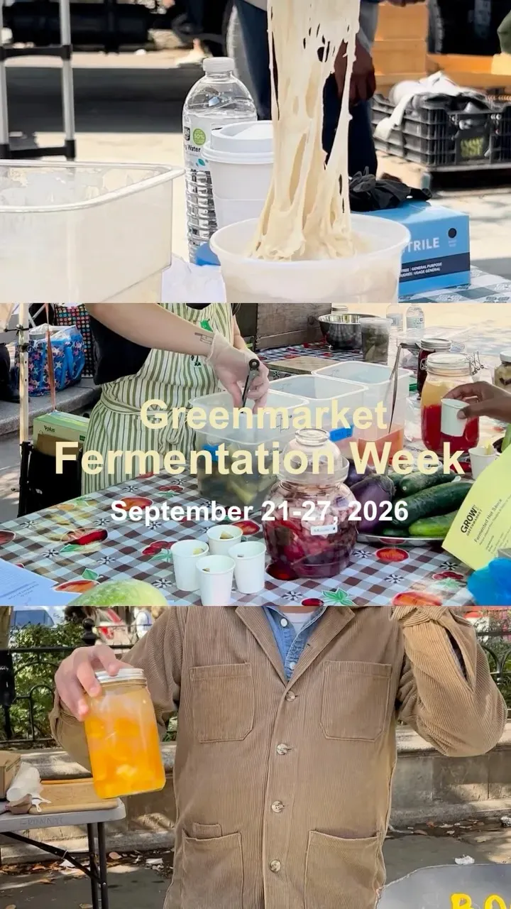 Sourdough Giveaway & Tasting