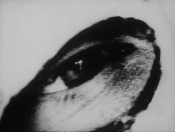 Begotten: 4K Restoration at Egyptian Theatre in Los Angeles
