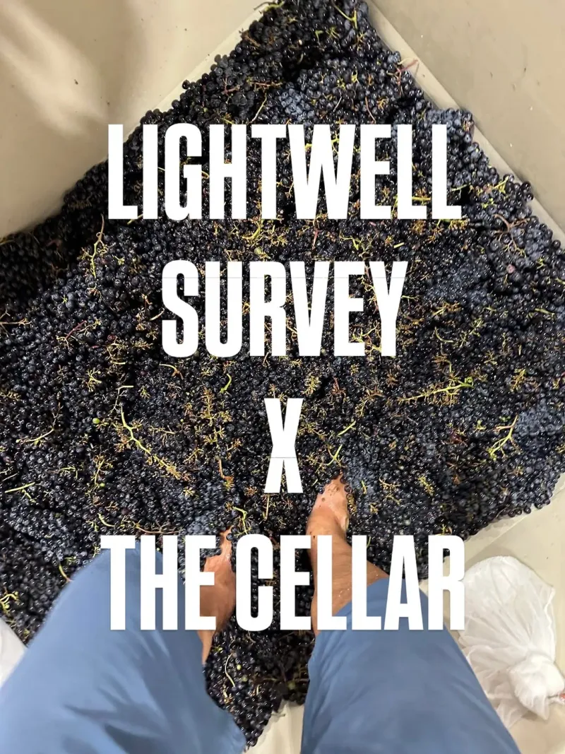 The Dabney Cellar in Washington | Mato